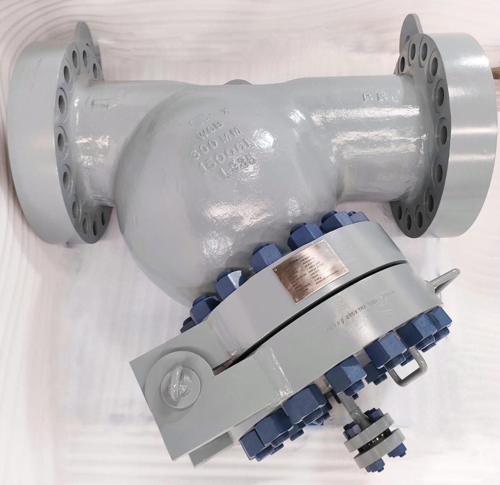Y-Strainer